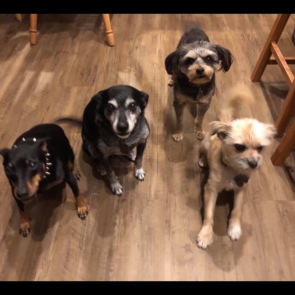 Meet your Posher, Jack - Picture 9 of 9